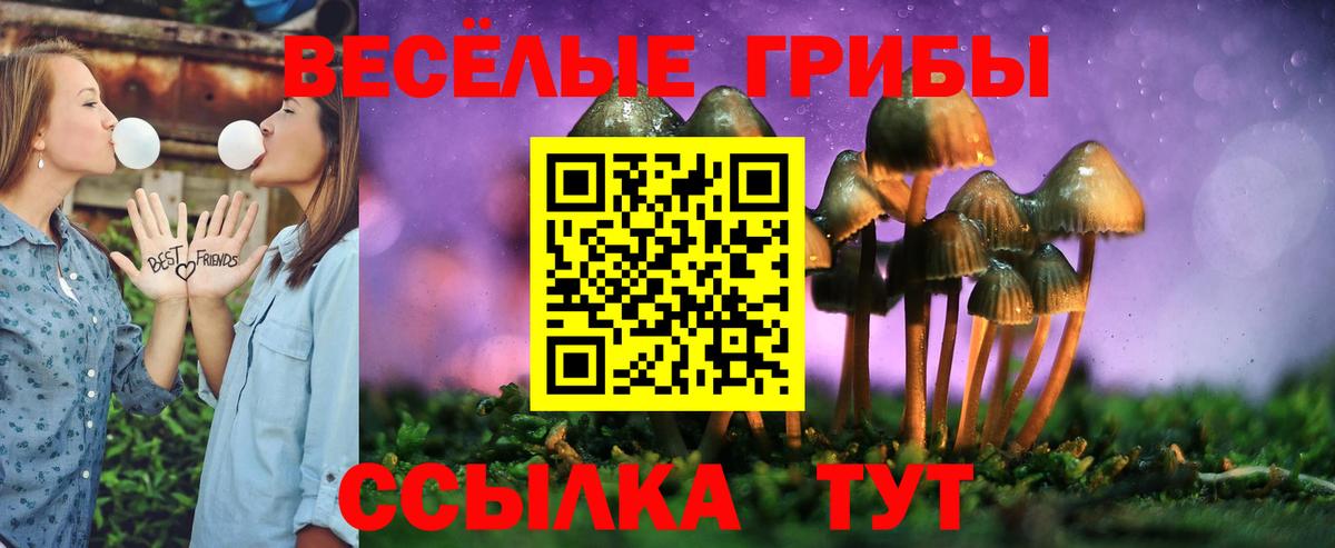 Псилоцибиновые грибы Cubensis  Вход с VPN  Псилоцибиновые грибы мицелий  Гуково 