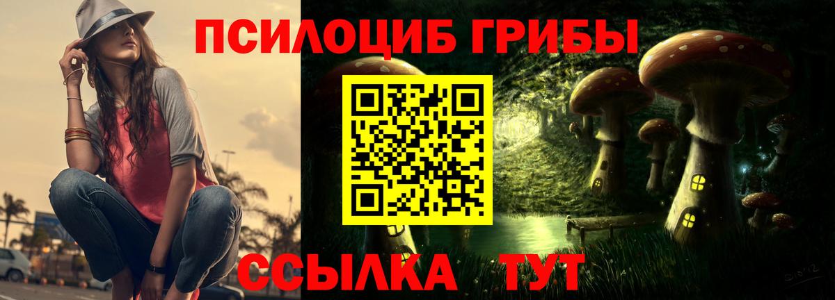 Псилоцибиновые грибы мицелий Гуково